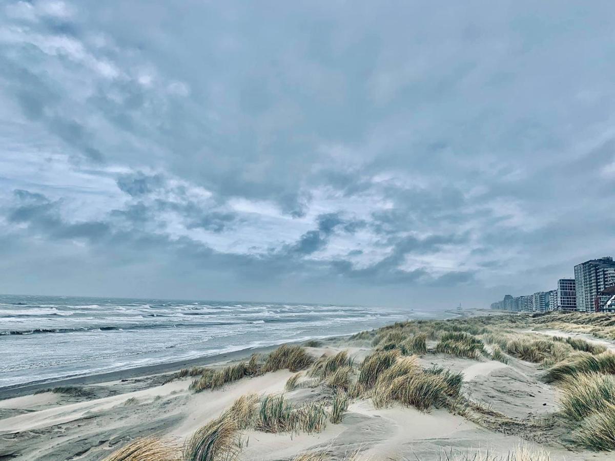 B&B Huize Van Damme Nieuwpoort Eksteriør bilde